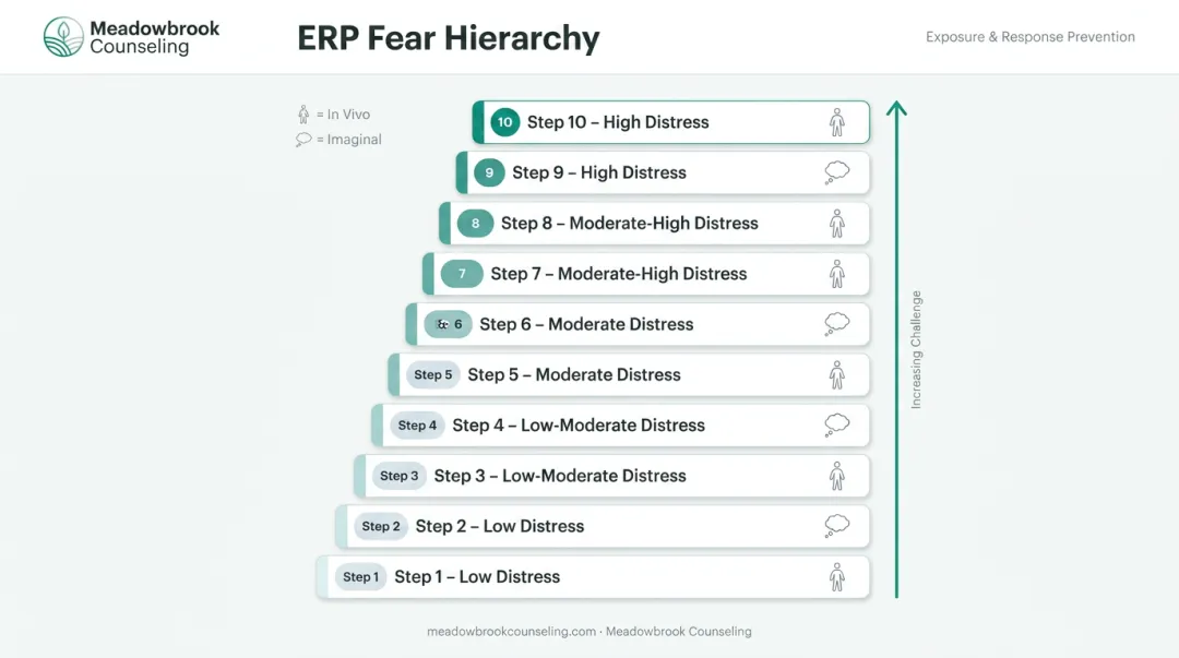 ERP fear hierarchy ladder showing graduated exposure steps from low to high anxiety