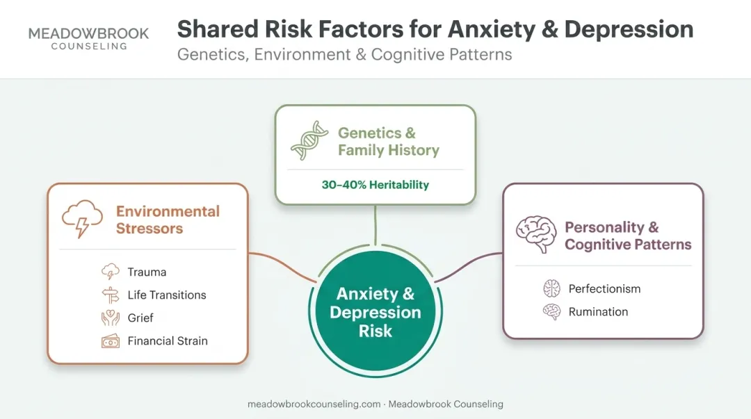 Three shared risk factor categories for anxiety and depression comorbidity