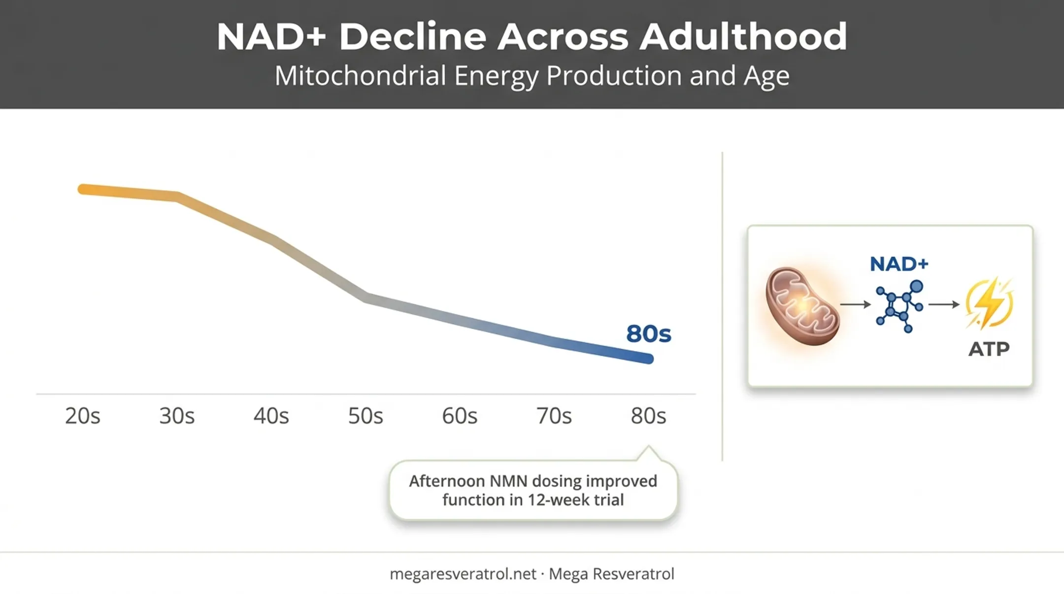 NAD+ decline with age and cellular energy production pathway