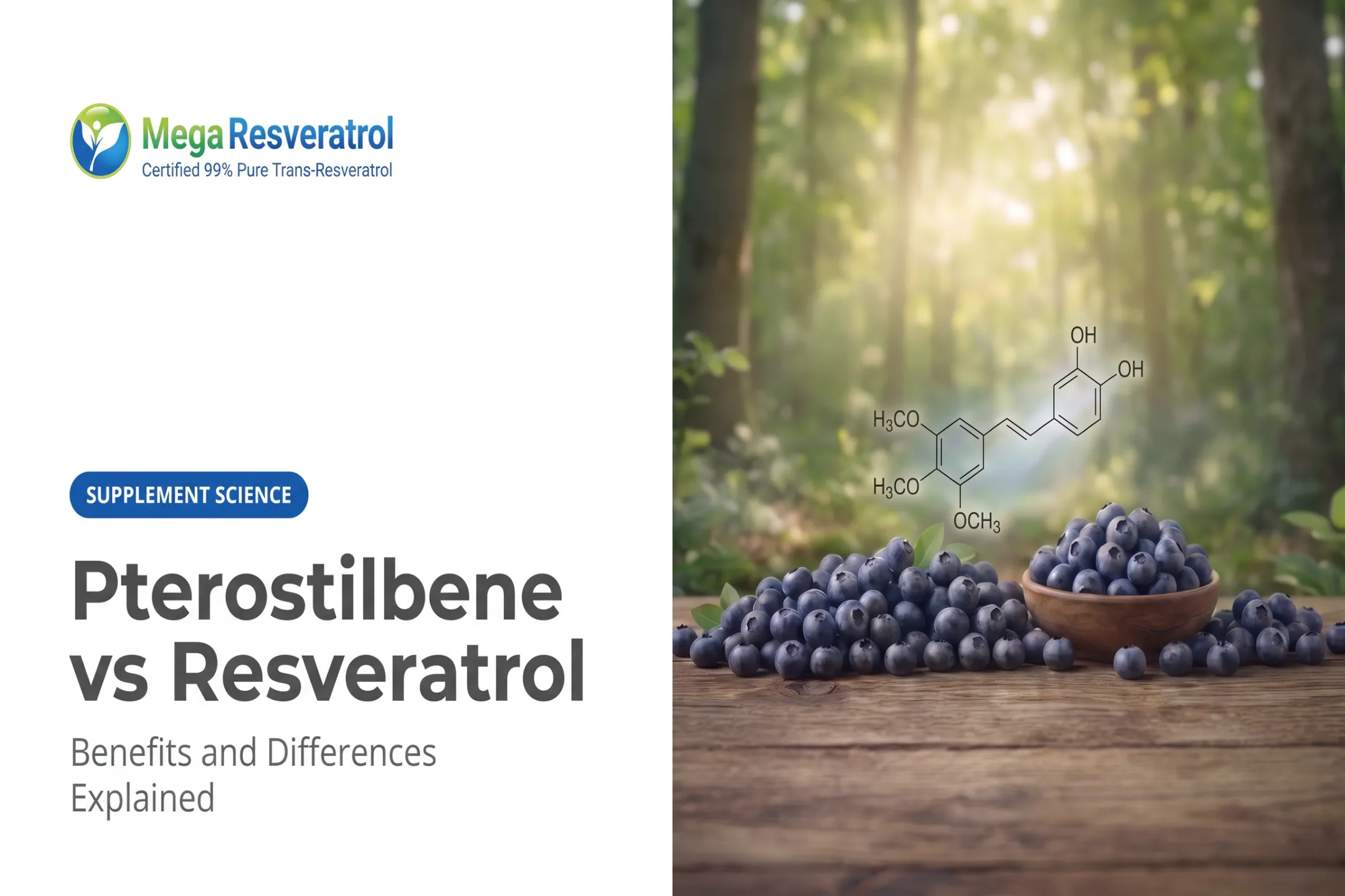 Pterostilbene vs Resveratrol: Benefits and Differences Explained