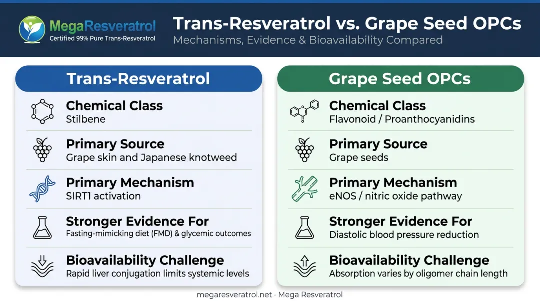 Trans-resveratrol versus grape seed OPCs mechanism bioavailability and clinical evidence comparison chart