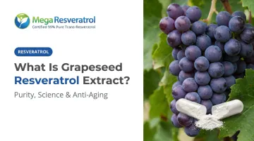 What Is Grapeseed Resveratrol Extract?