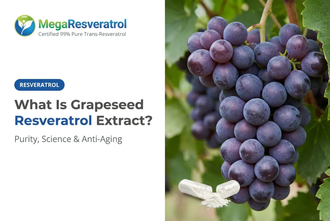 What Is Grapeseed Resveratrol Extract?