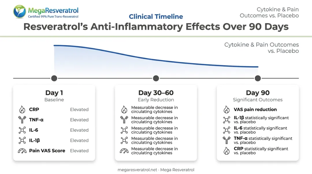 Resveratrol anti-inflammatory benefits timeline showing pain reduction and biomarker improvements over 90 days