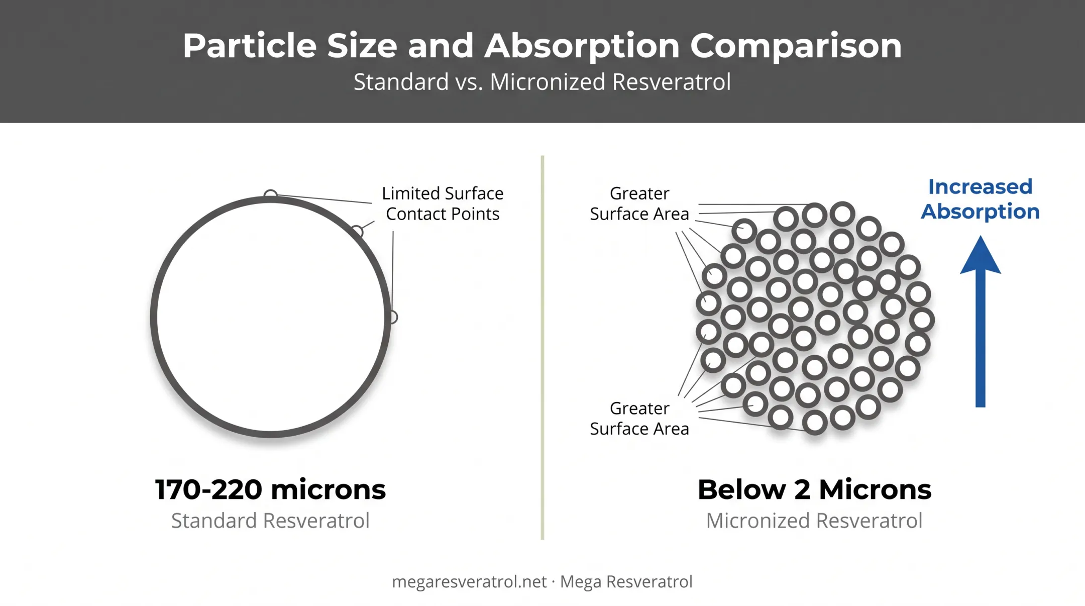 Standard versus micronized resveratrol particle size absorption comparison