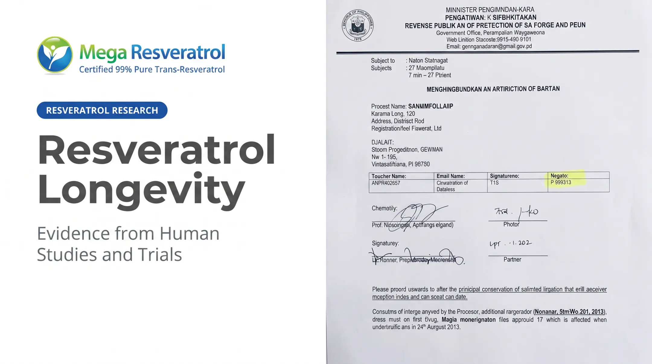 Resveratrol Longevity: Evidence from Human Studies and Trials