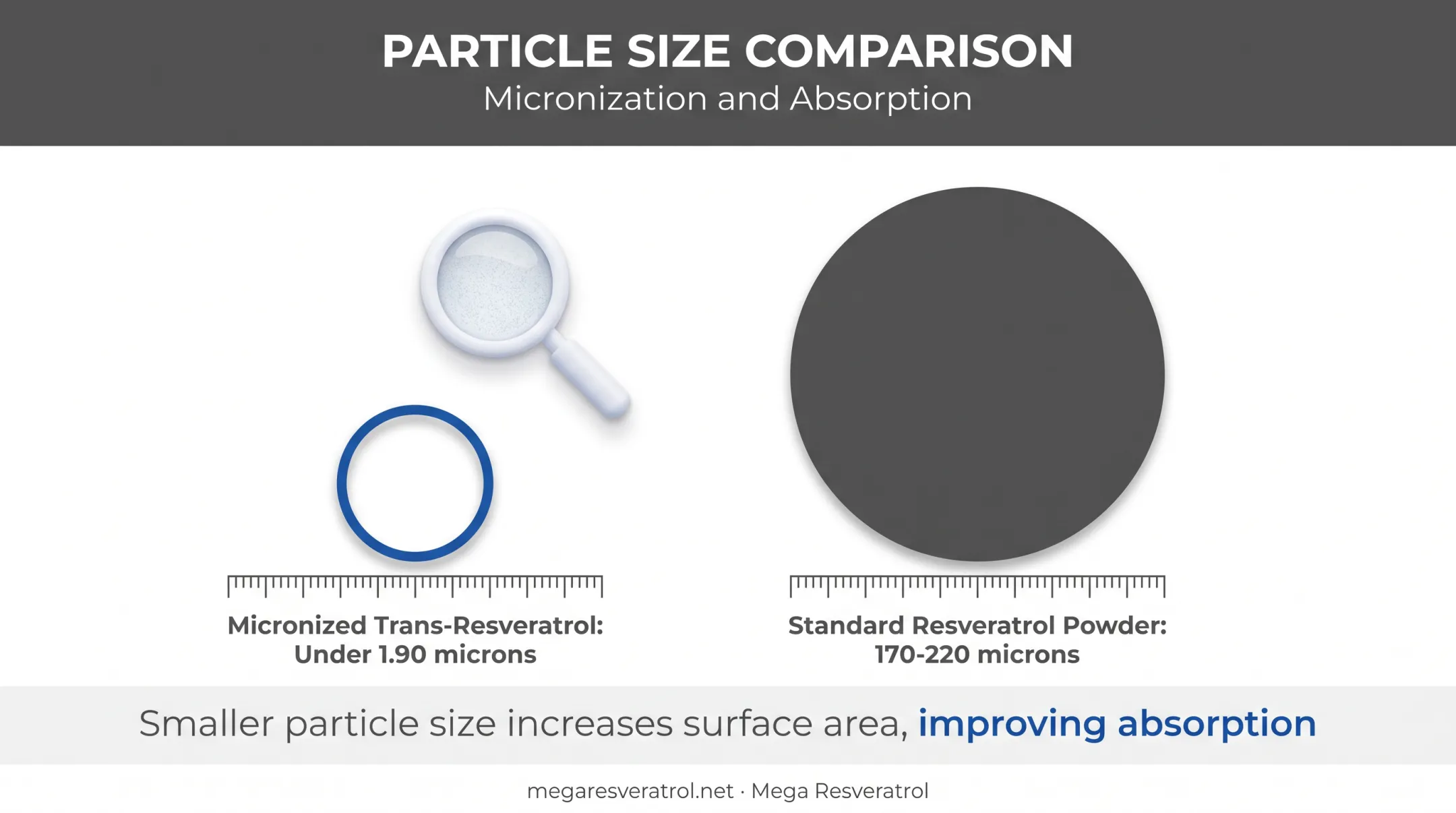 Particle size comparison of micronized versus standard resveratrol powder
