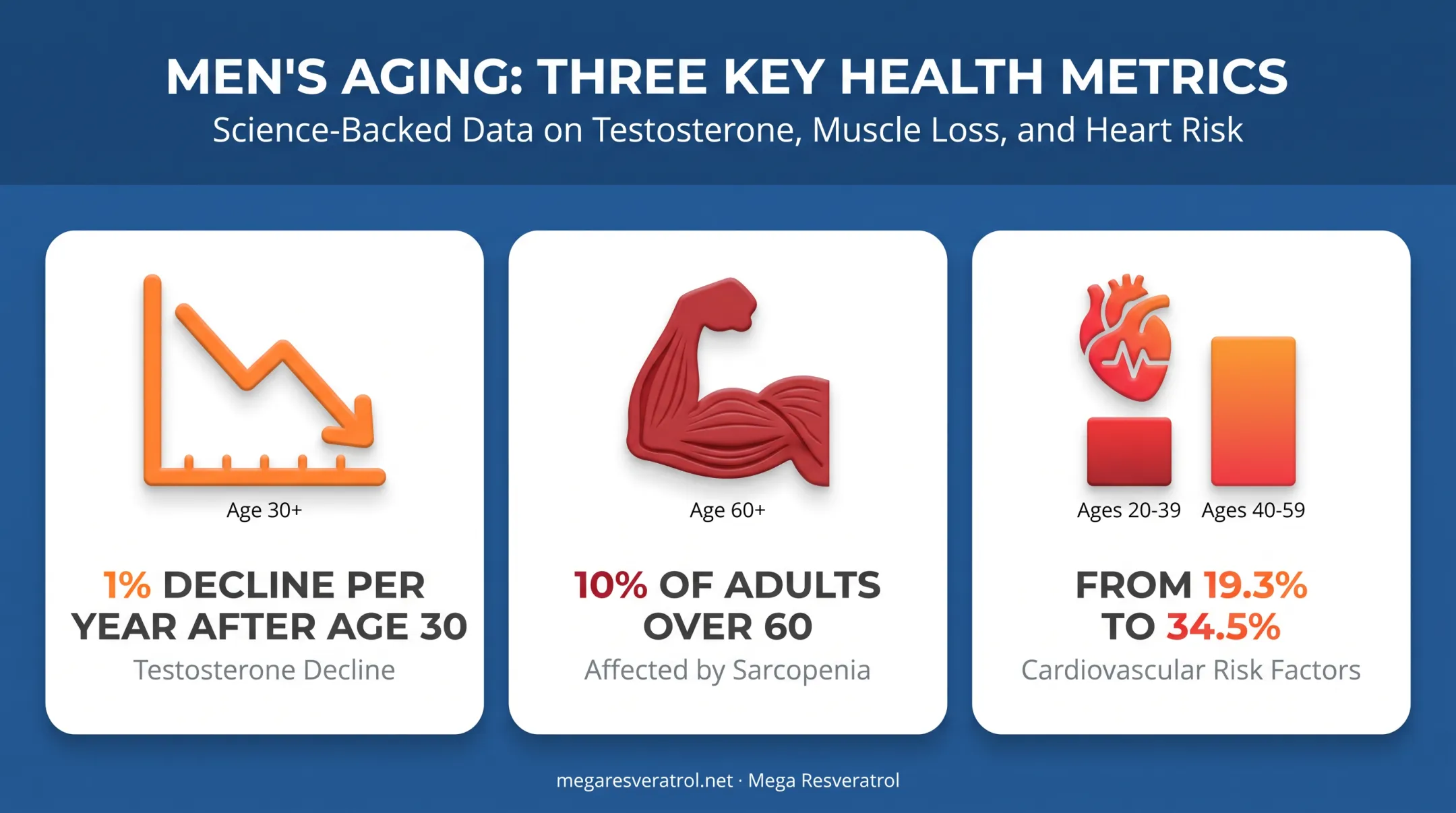 Male aging statistics showing testosterone decline muscle loss and cardiovascular risk