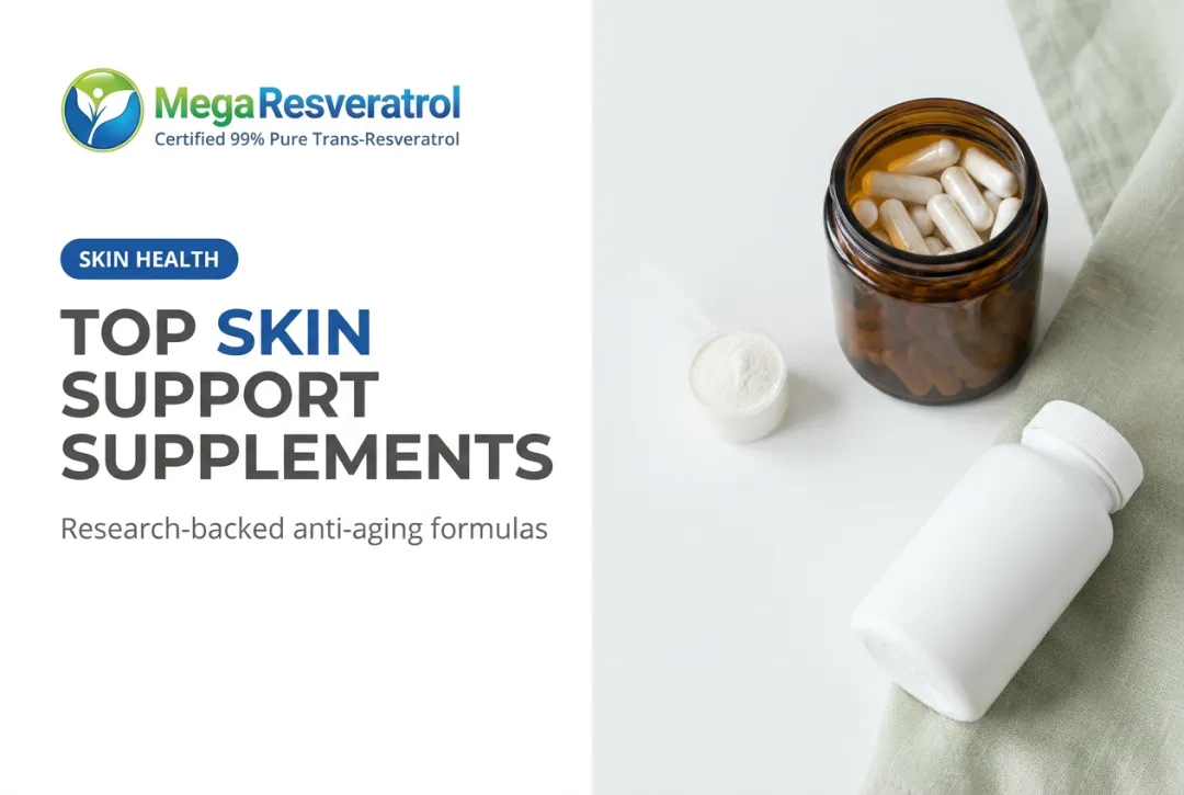 Top Skin Support Supplements