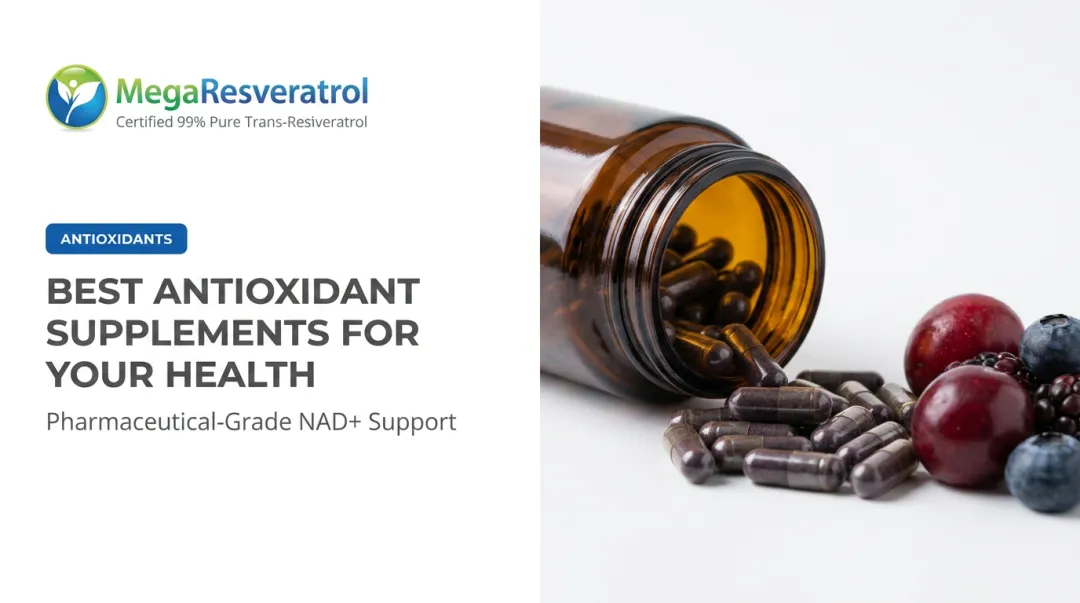 Best Antioxidant Supplements for Your Health