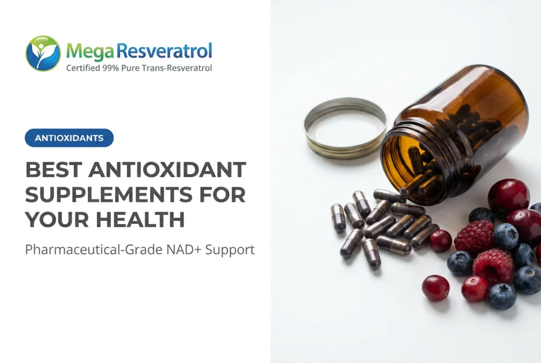 Best Antioxidant Supplements for Your Health