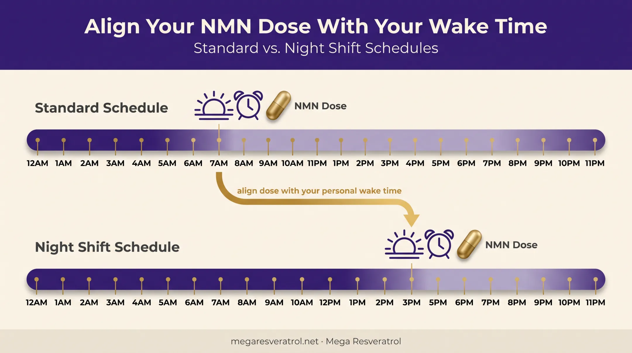 NMN dosing timeline for shift workers versus standard schedules
