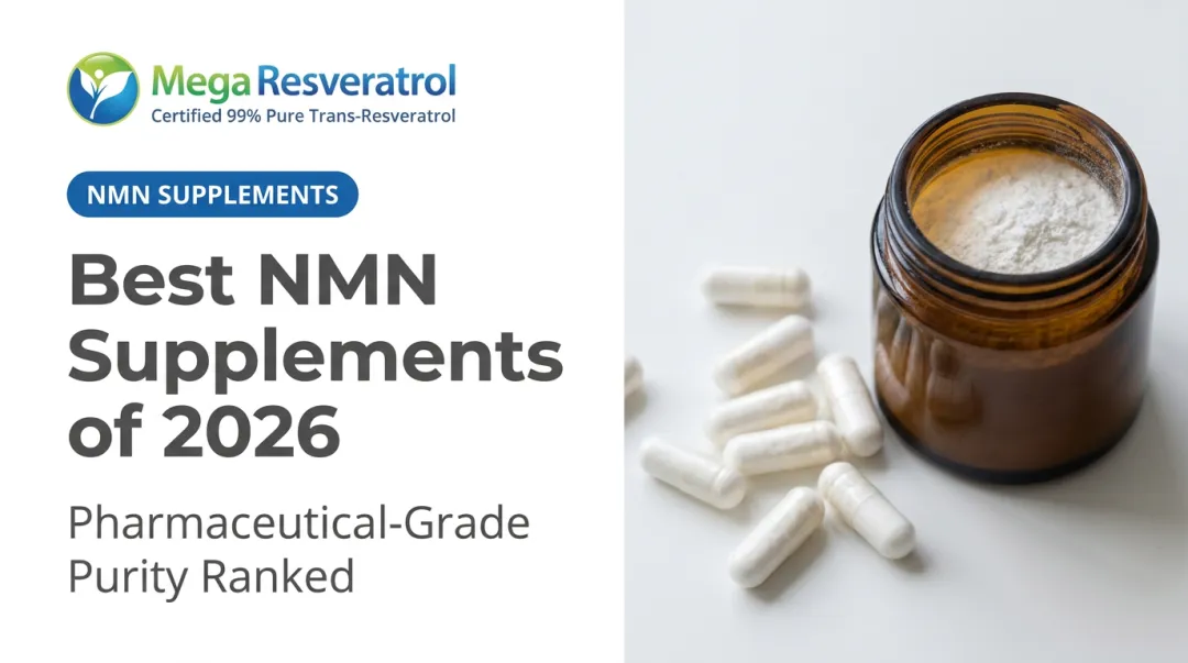 Best NMN Supplements of 2026