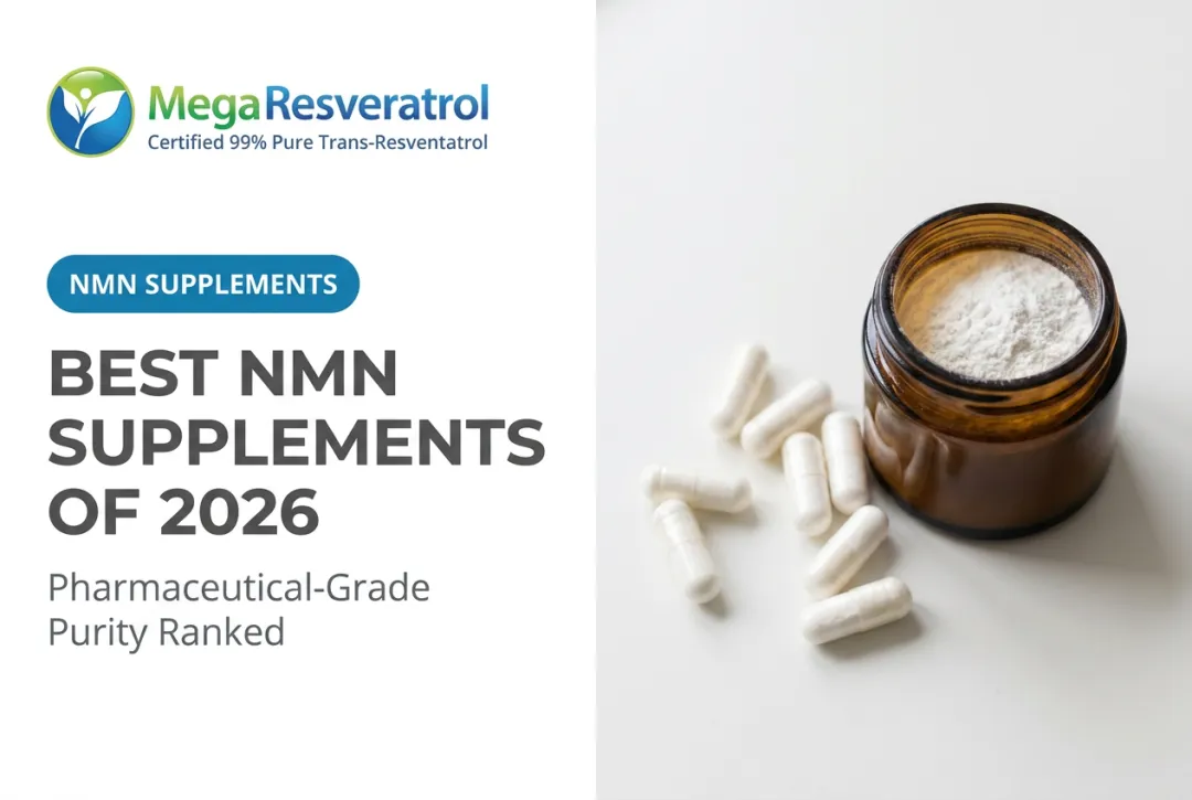 Best NMN Supplements of 2026