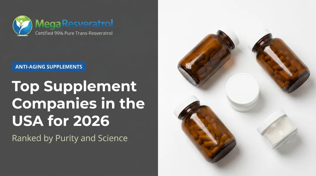Top Supplement Companies in the USA for 2026