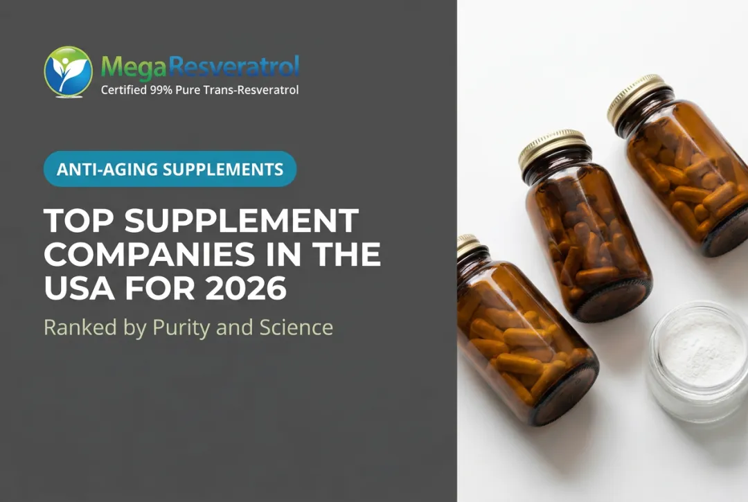 Top Supplement Companies in the USA for 2026