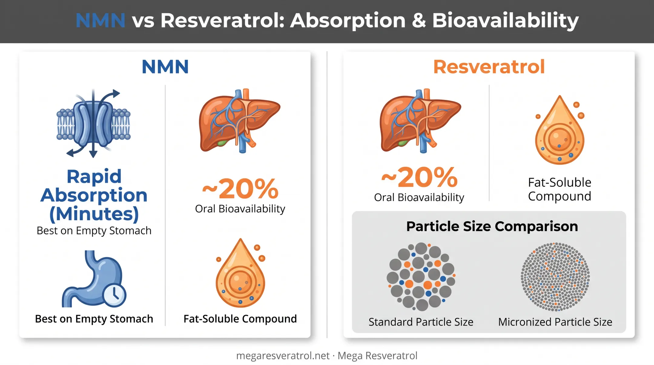 NMN versus resveratrol absorption pathways and bioavailability comparison chart