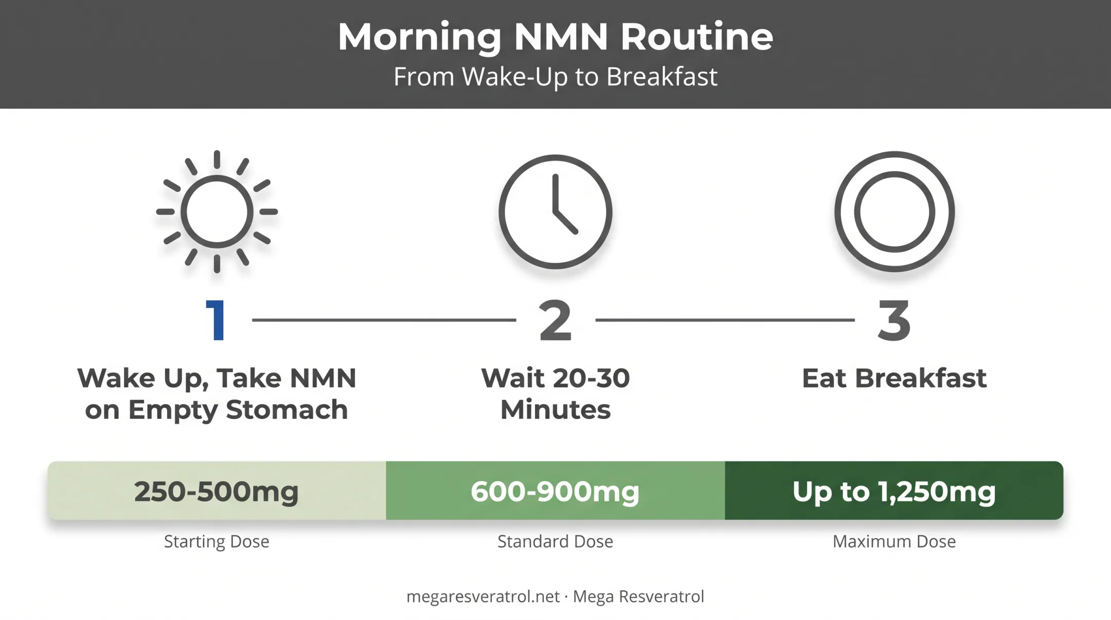 Optimal NMN dosing timeline showing morning schedule and dosage ranges