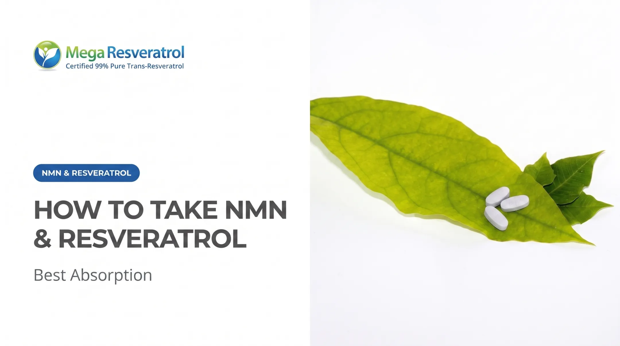 How to Take NMN & Resveratrol for Best Absorption