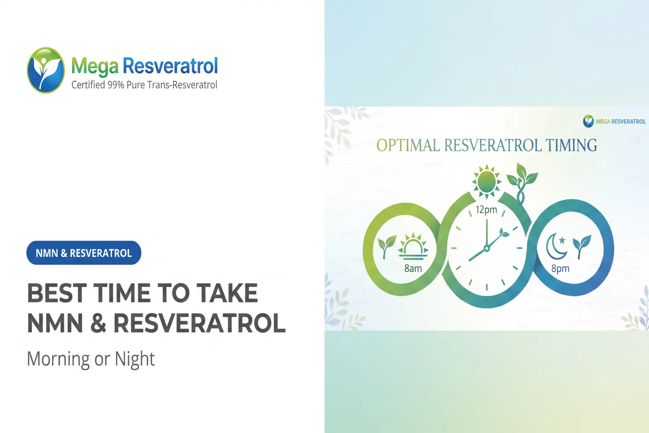 Best Time to Take NMN & Resveratrol: Morning or Night