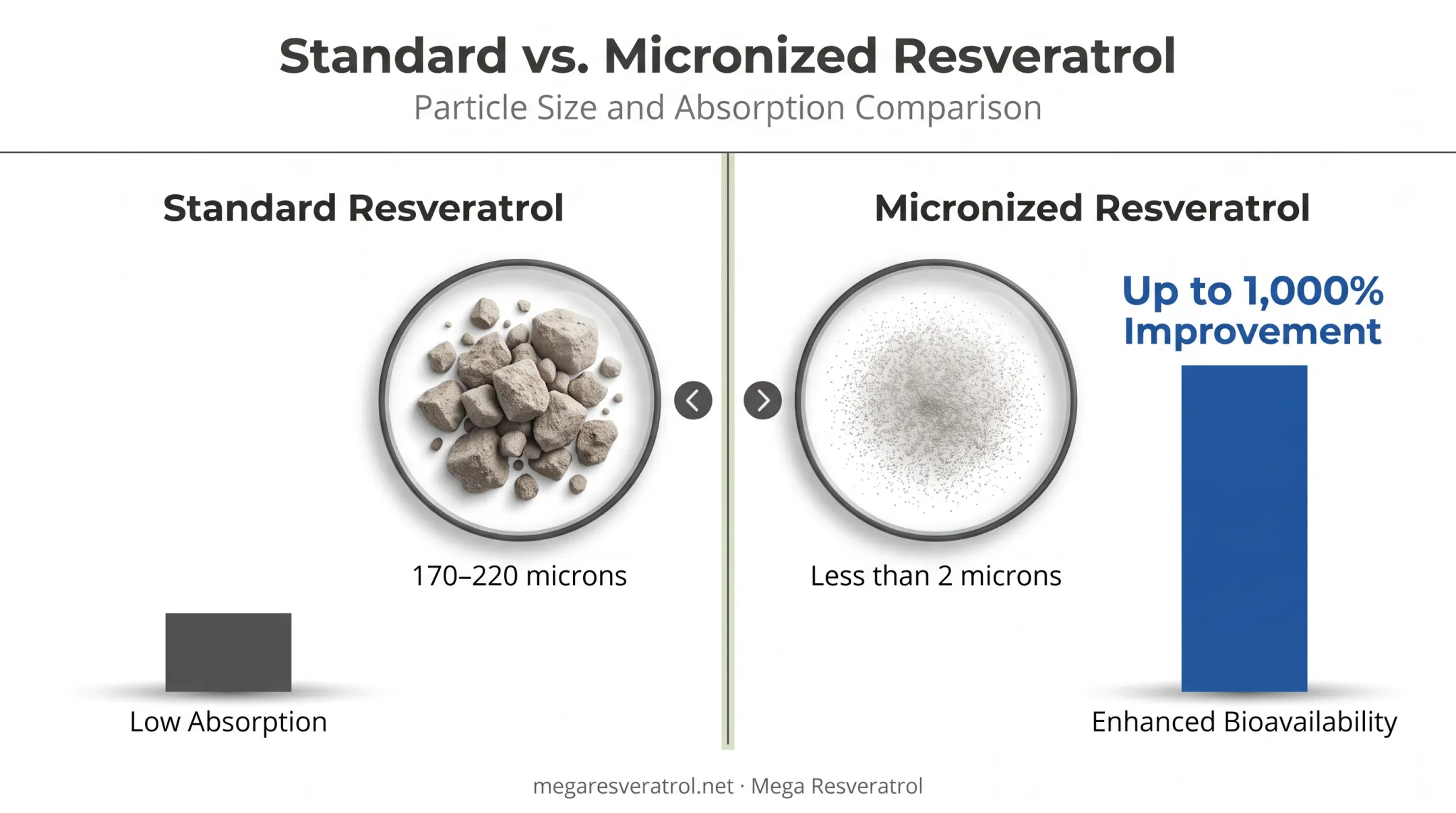 Standard versus micronized resveratrol particle size and absorption comparison