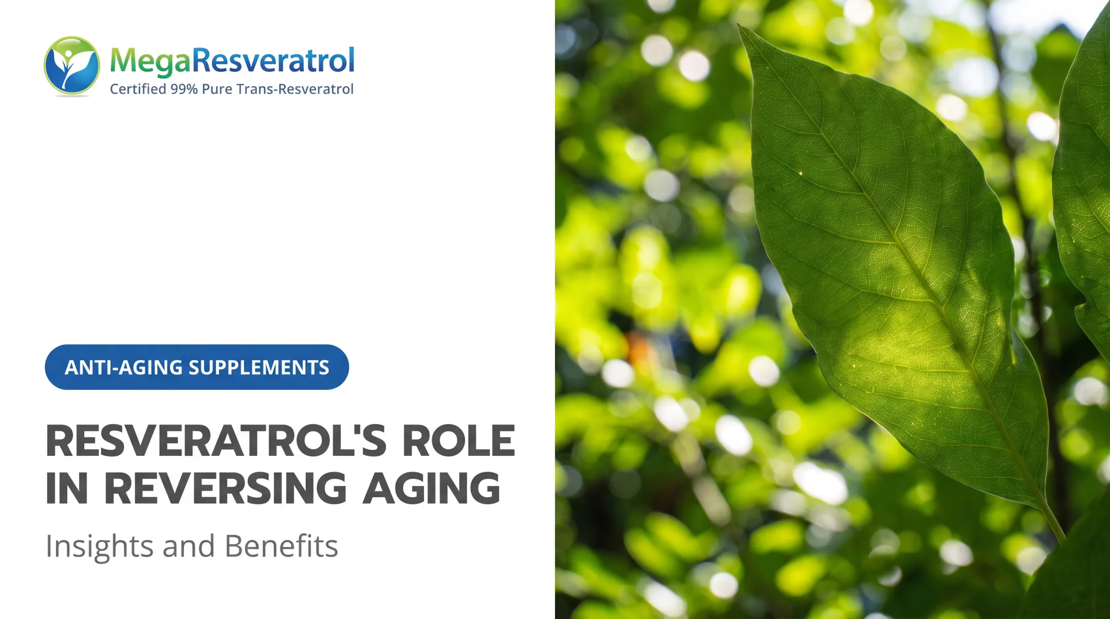 Resveratrol's Role in Reversing Aging: Insights and Benefits