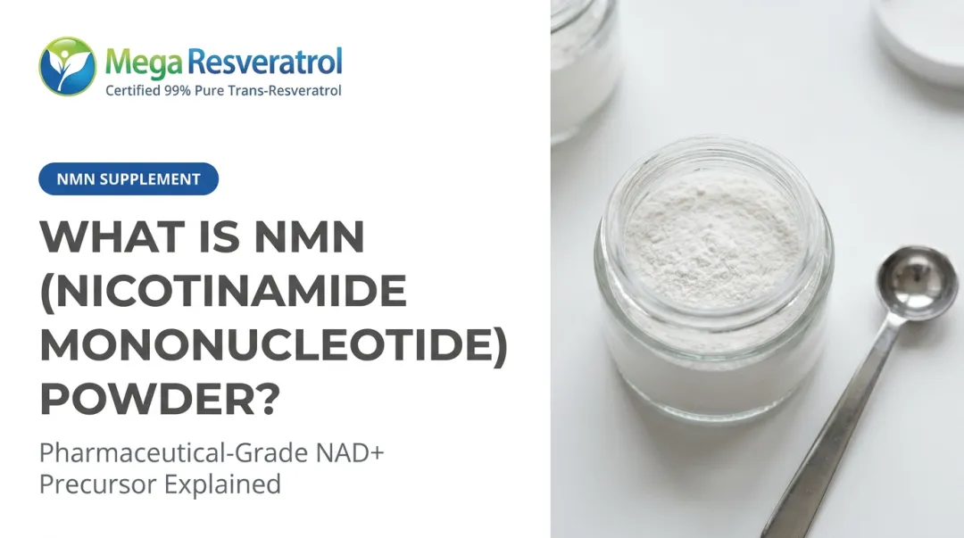 What Is NMN (Nicotinamide Mononucleotide) Powder?