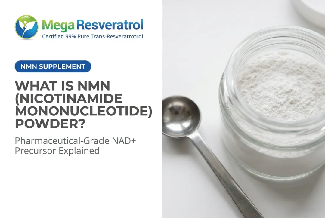 What Is NMN (Nicotinamide Mononucleotide) Powder?