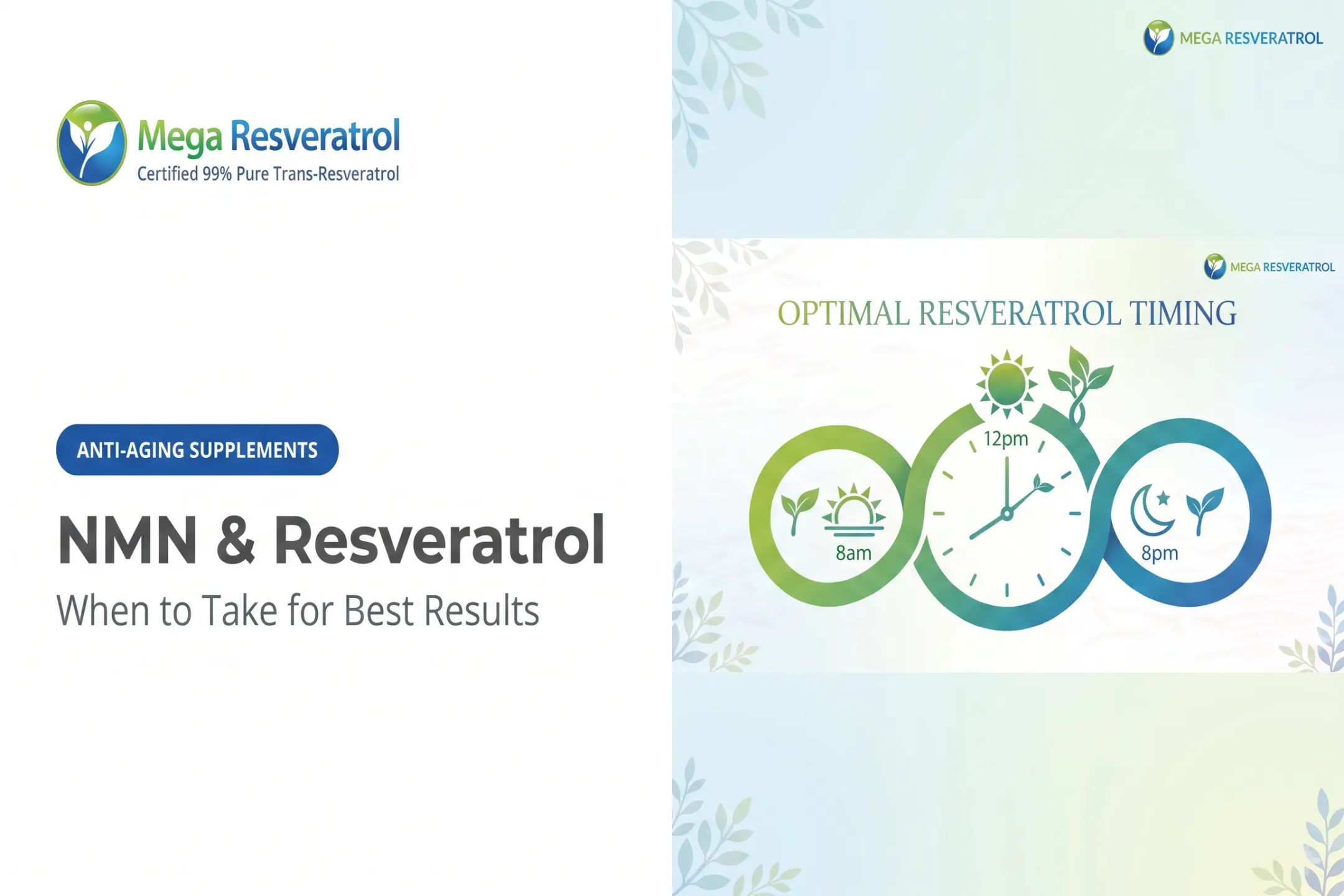 NMN & Resveratrol: When to Take for Best Results