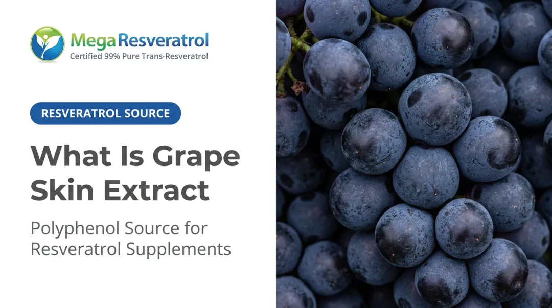 What Is Grape Skin Extract