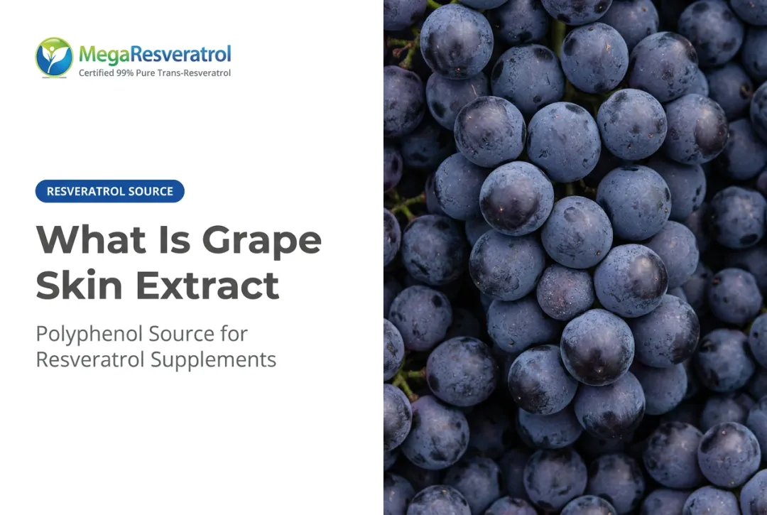 What Is Grape Skin Extract