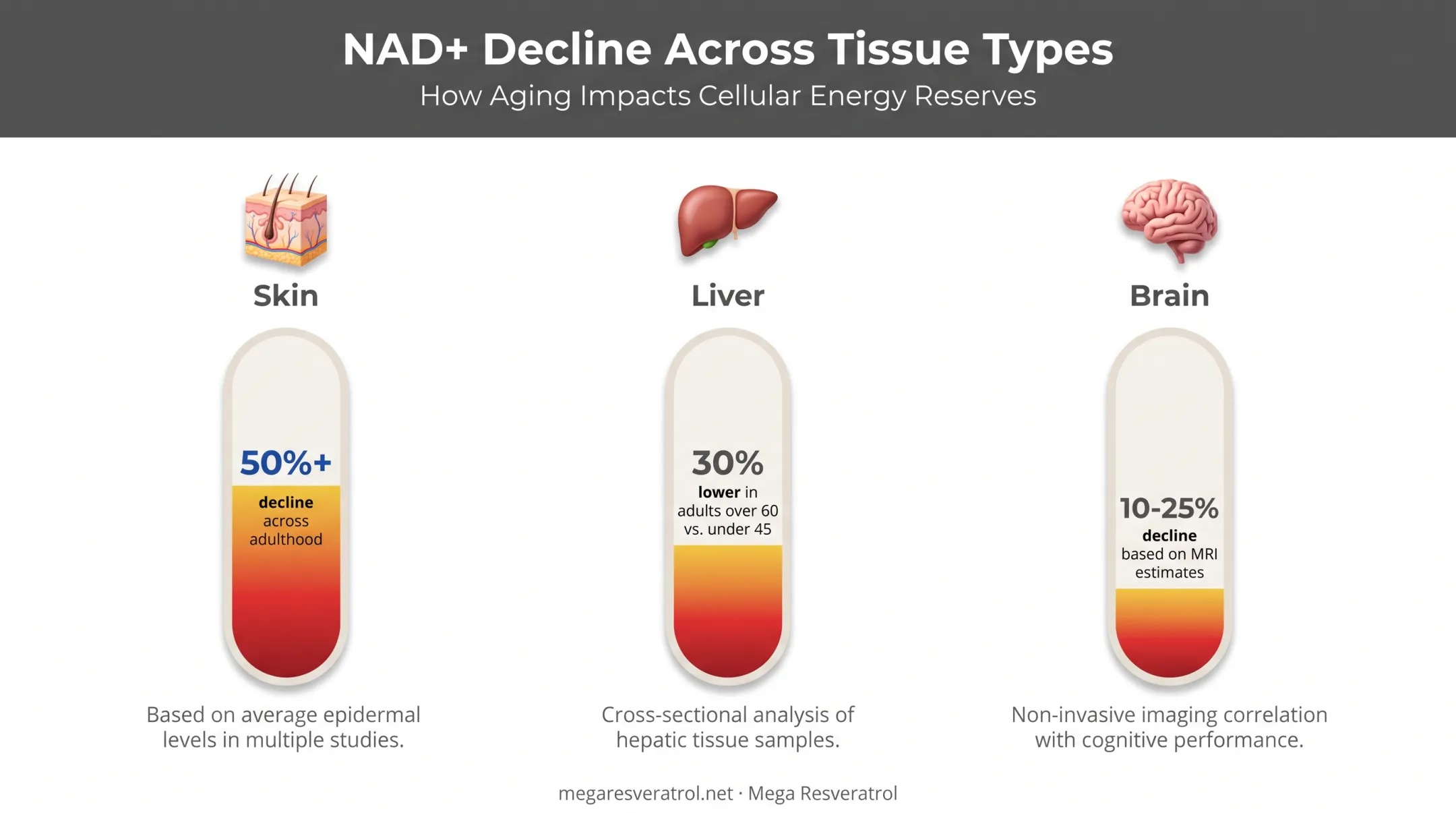 Age-related NAD+ decline across skin liver and brain tissue statistics