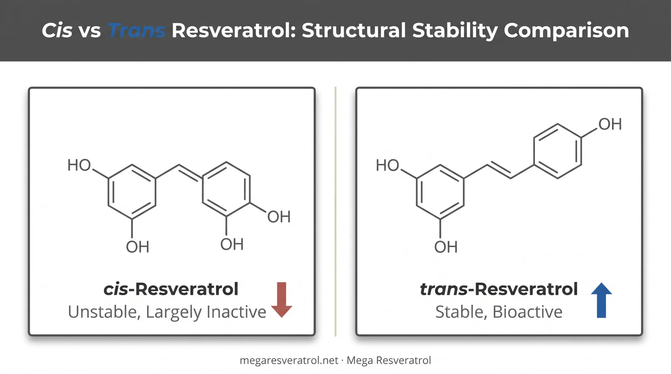 Cis-resveratrol versus trans-resveratrol molecular structure and stability comparison