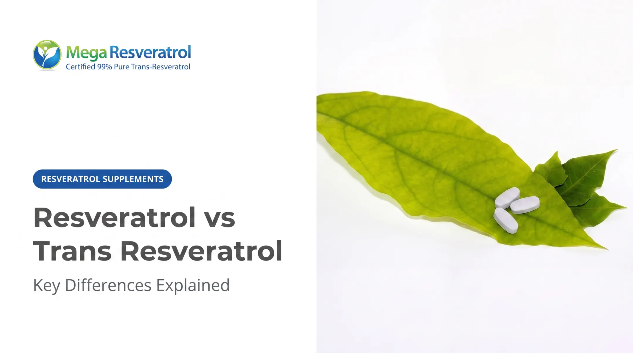 Resveratrol vs Trans Resveratrol: Key Differences Explained
