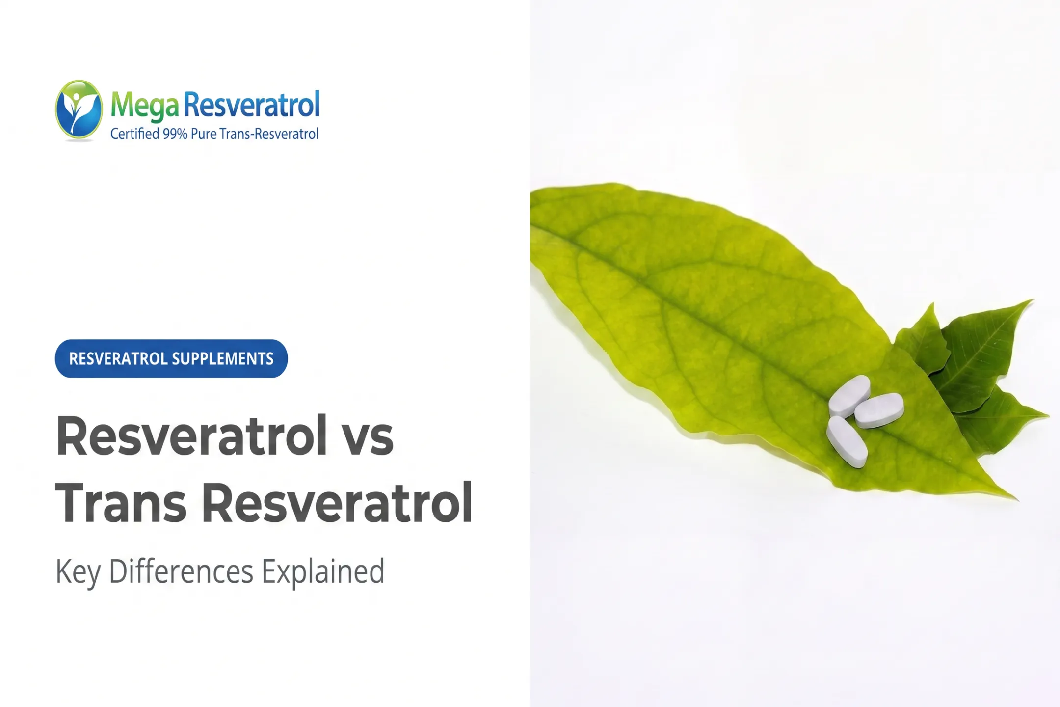 Resveratrol vs Trans Resveratrol: Key Differences Explained