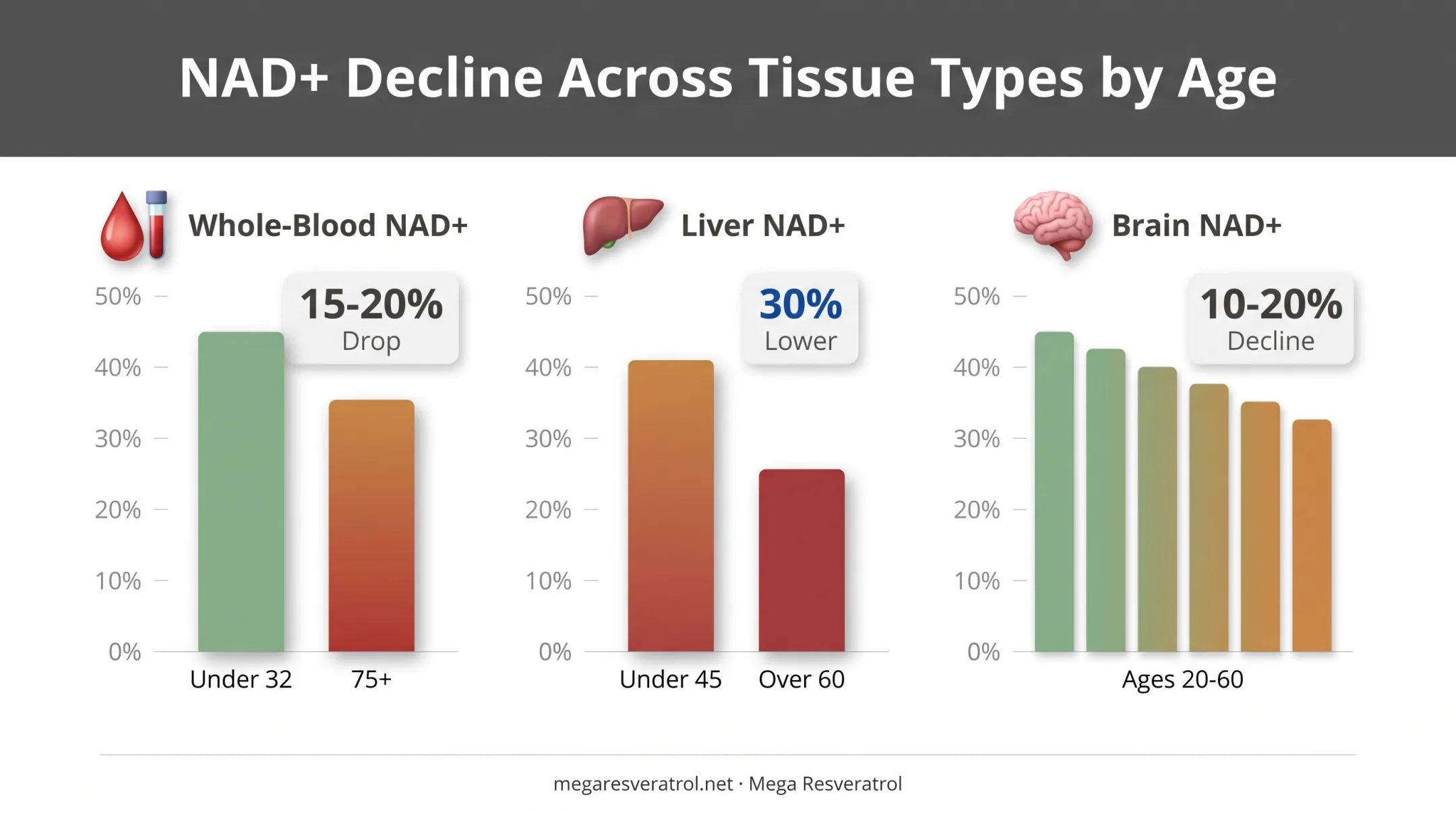 NAD+ decline by tissue type across age groups chart