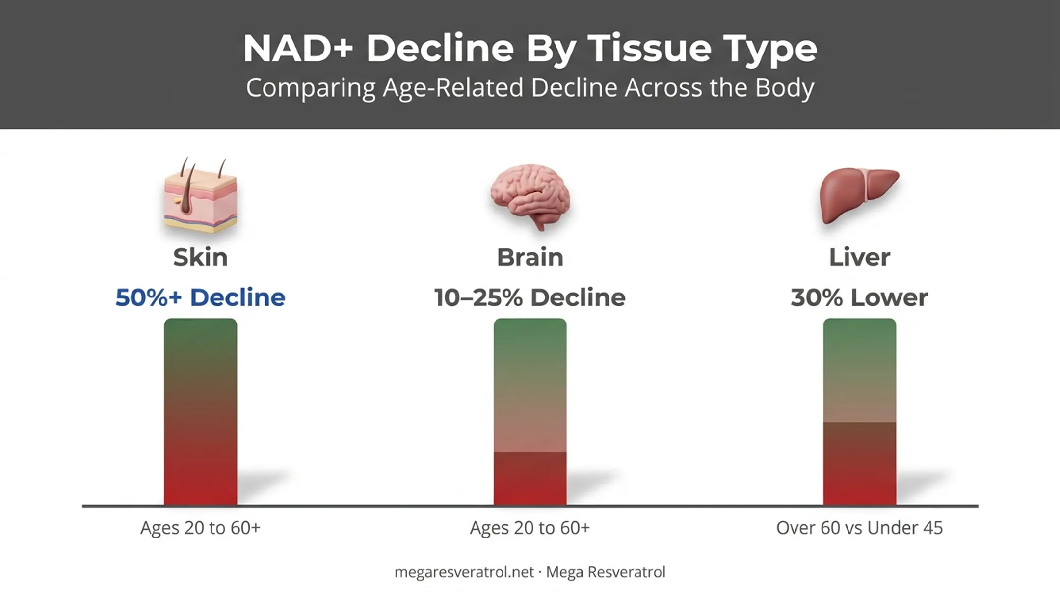 NAD+ decline percentages across skin brain and liver with age