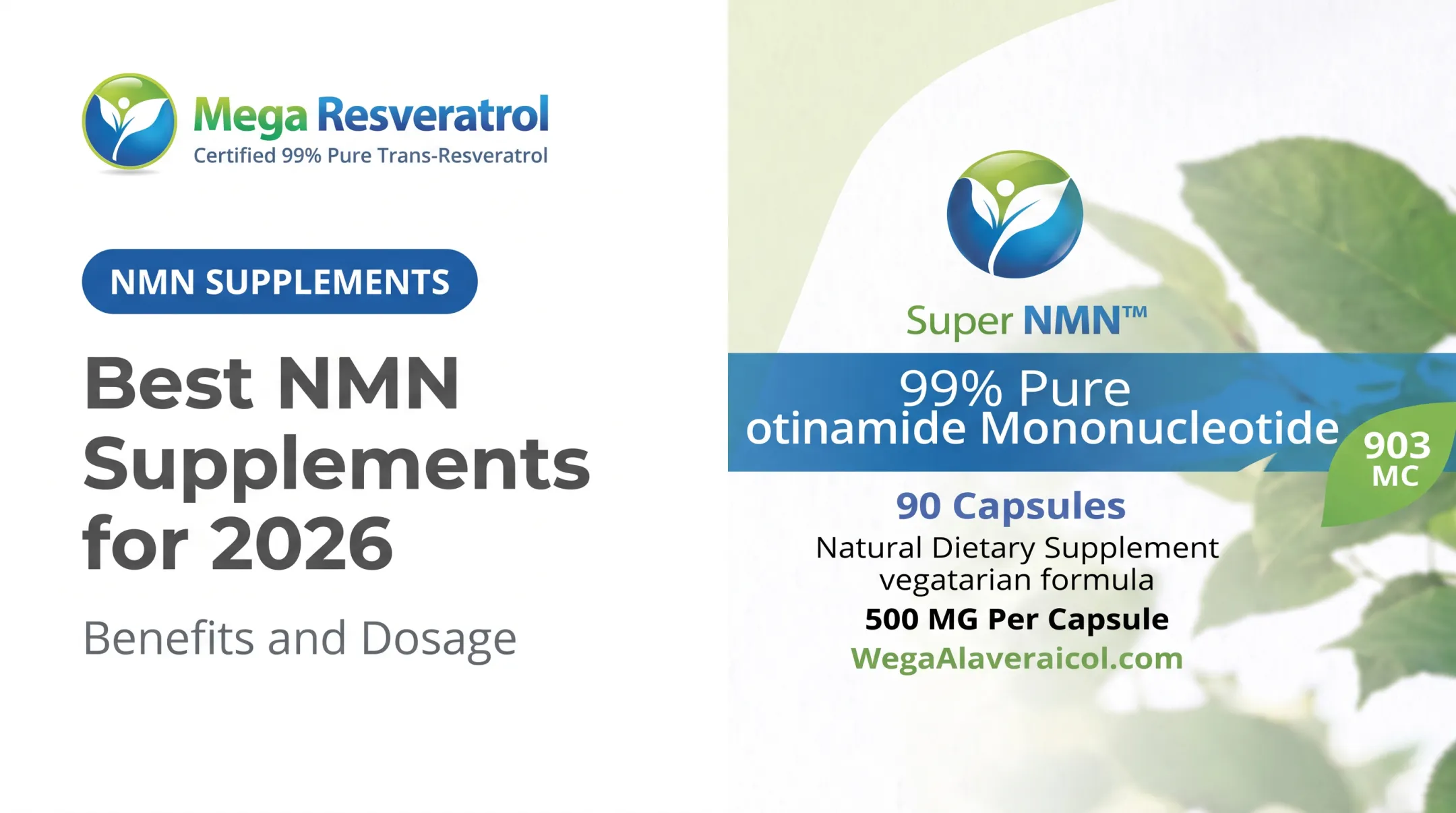 Best NMN Supplements for 2026: Benefits and Dosage