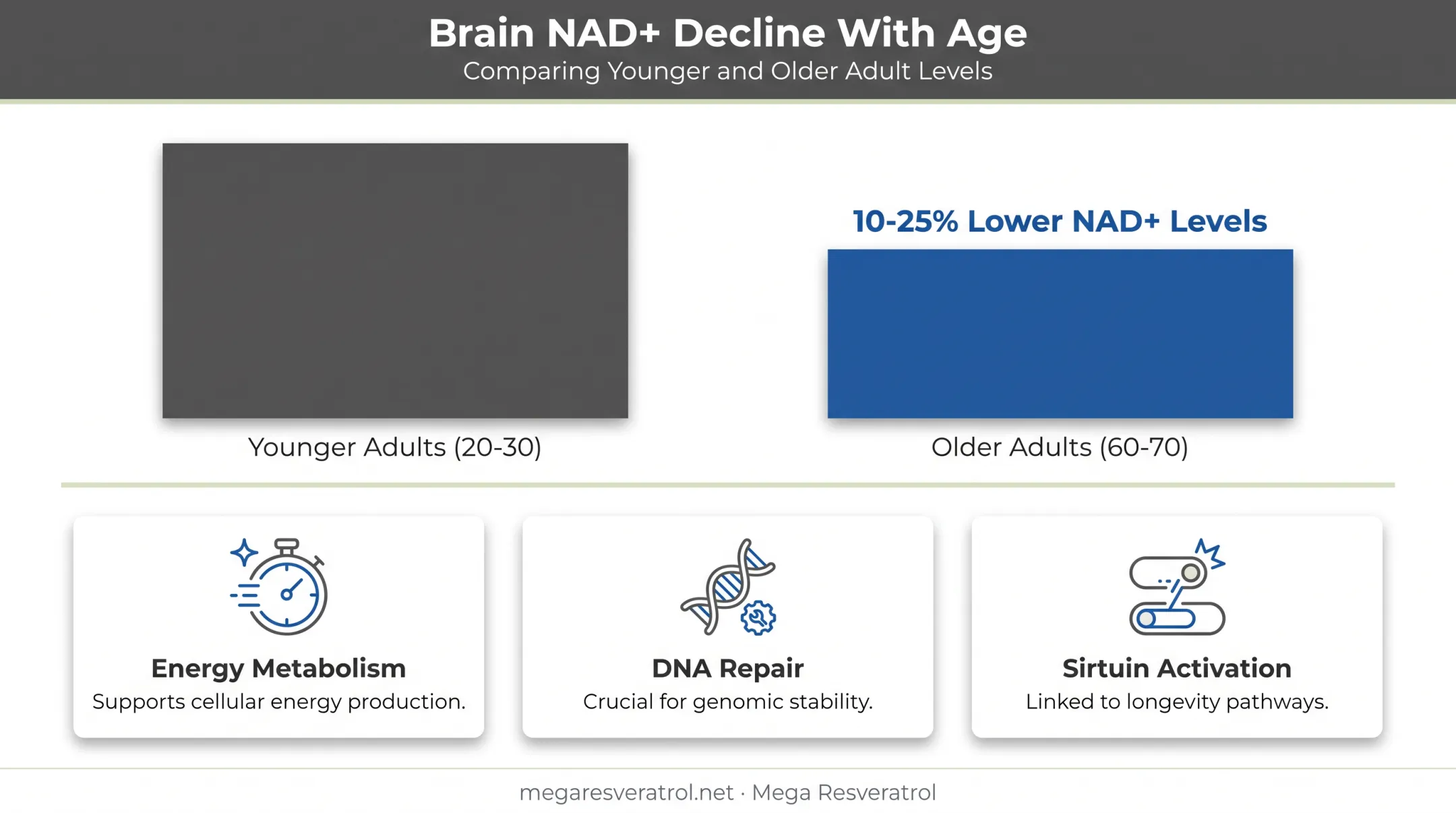 NAD+ decline with age chart showing tissue-specific brain level differences