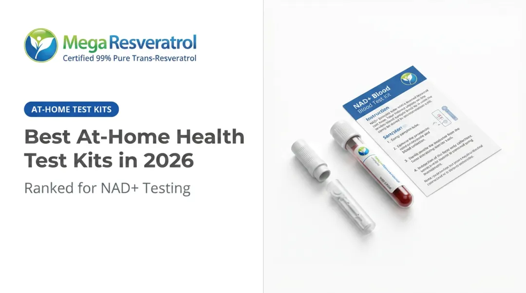 Best At-Home Health Test Kits in 2026
