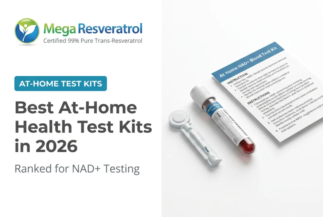 Best At-Home Health Test Kits in 2026