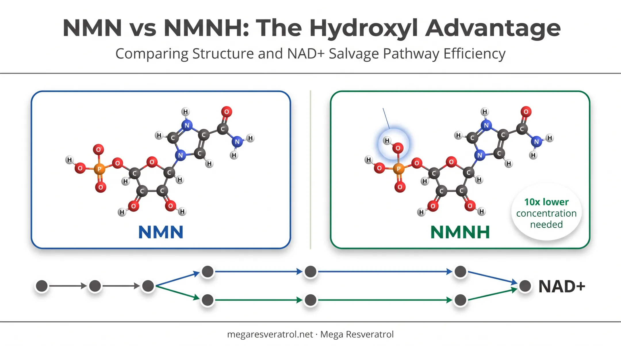 NMNH versus NMN molecular structure and NAD+ pathway comparison diagram