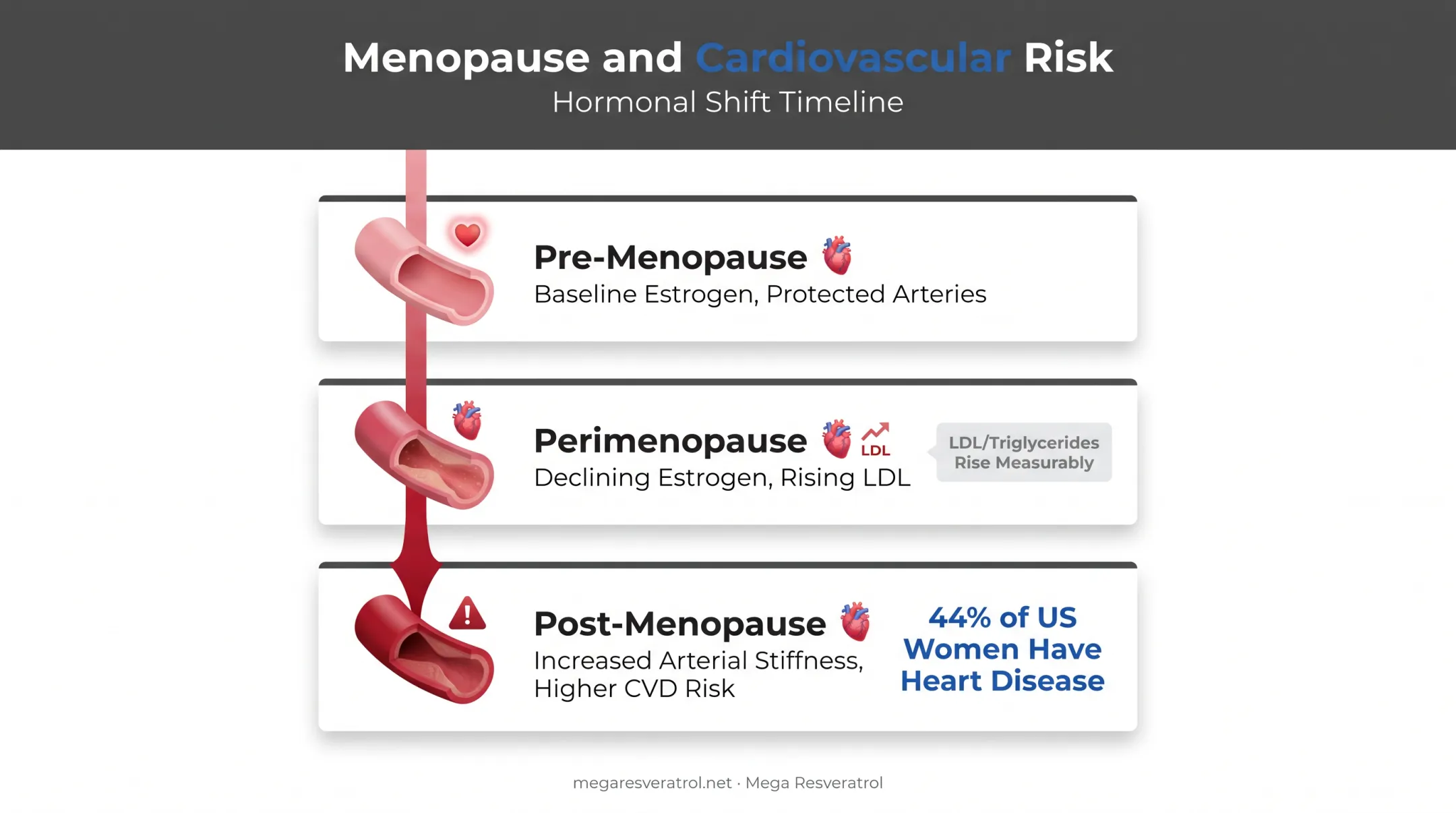 Menopause impact on LDL cholesterol and cardiovascular risk timeline