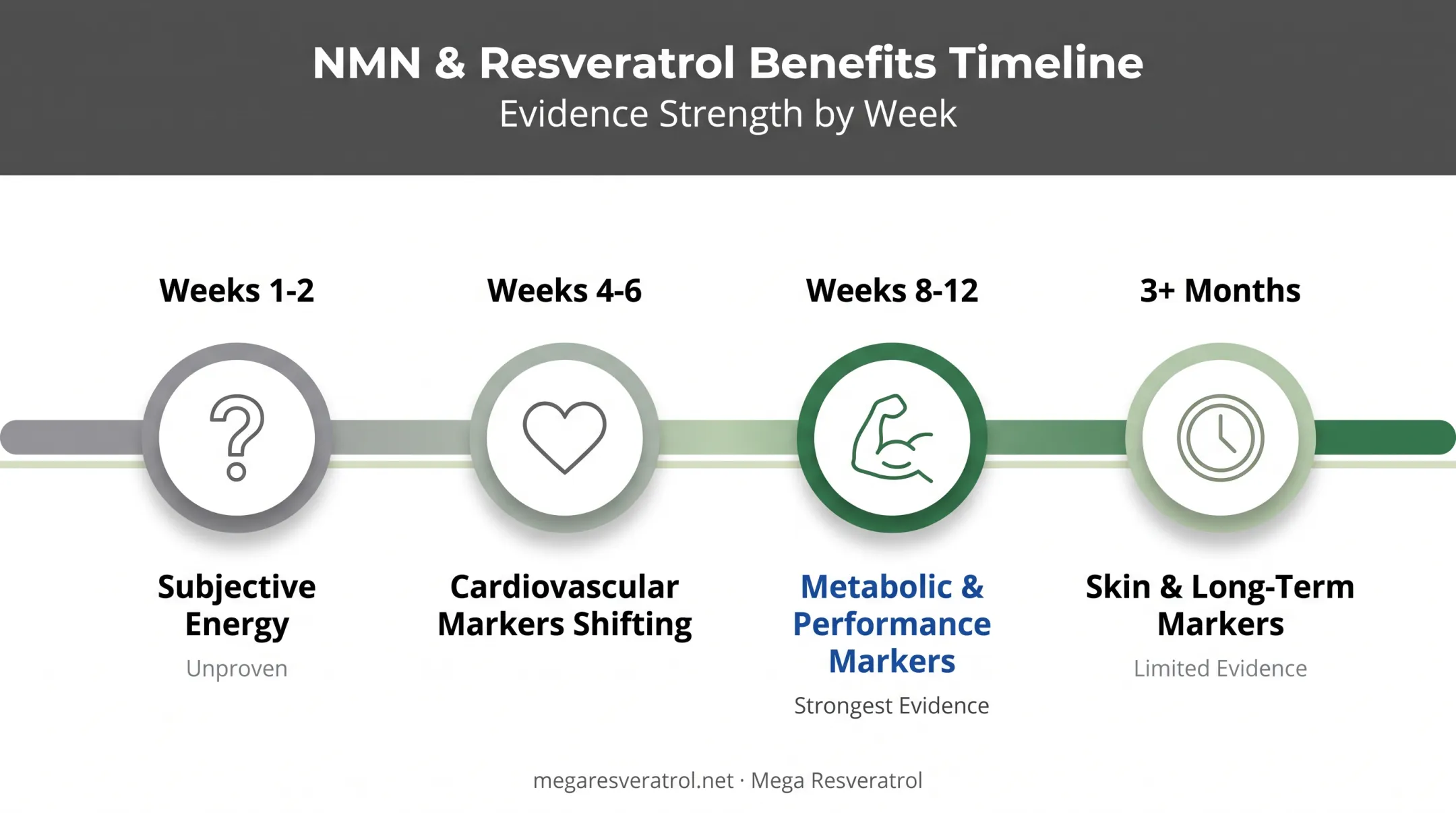 Timeline of NMN resveratrol benefits from weeks to months