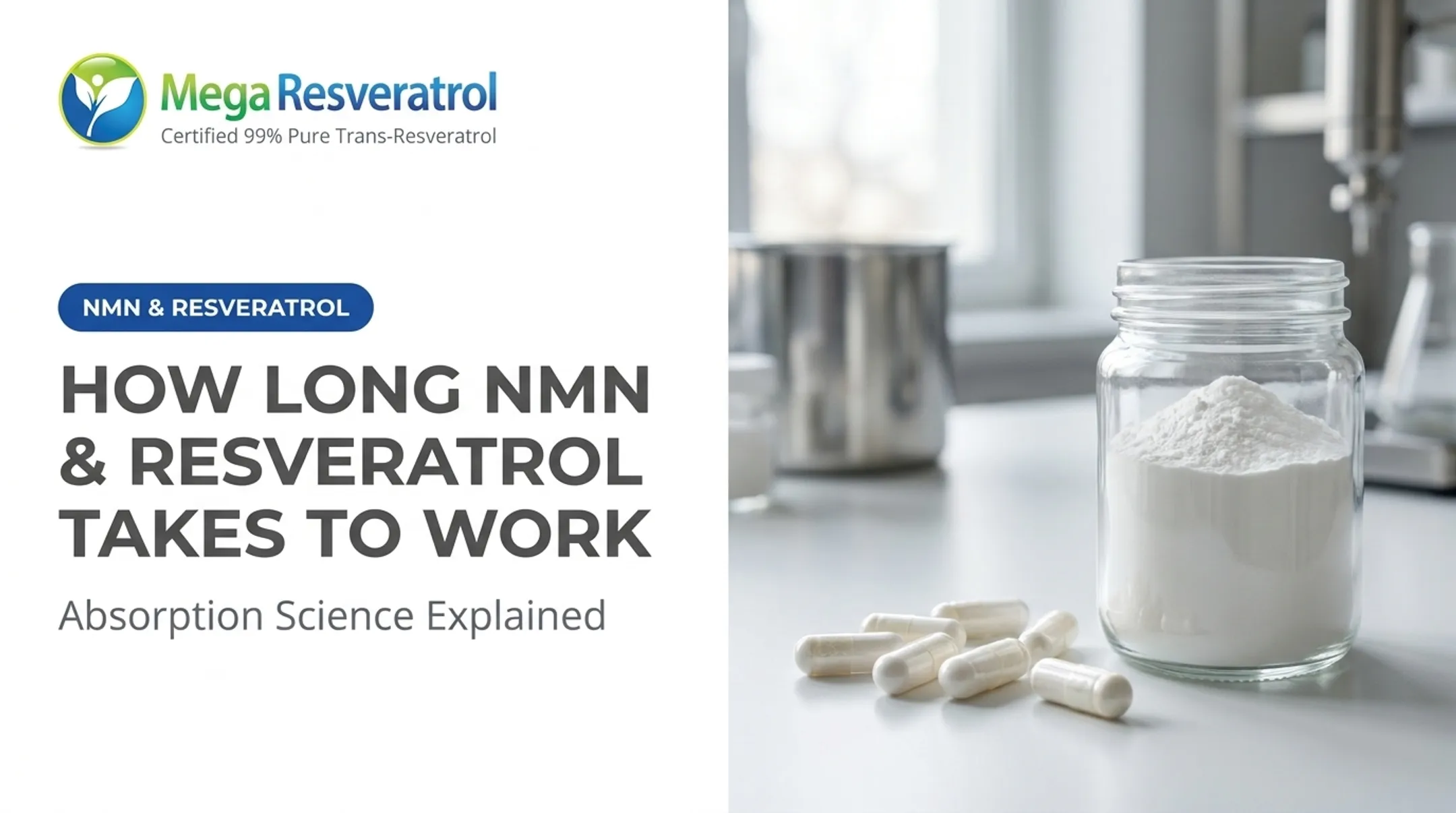 How Long NMN & Resveratrol Takes to Work