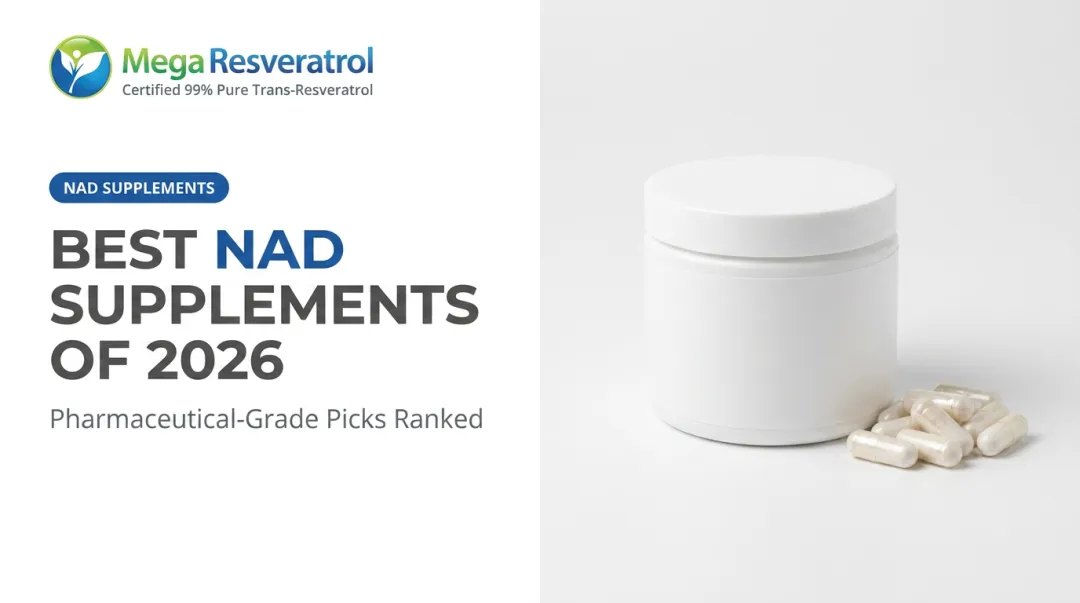 Best NAD Supplements of 2026