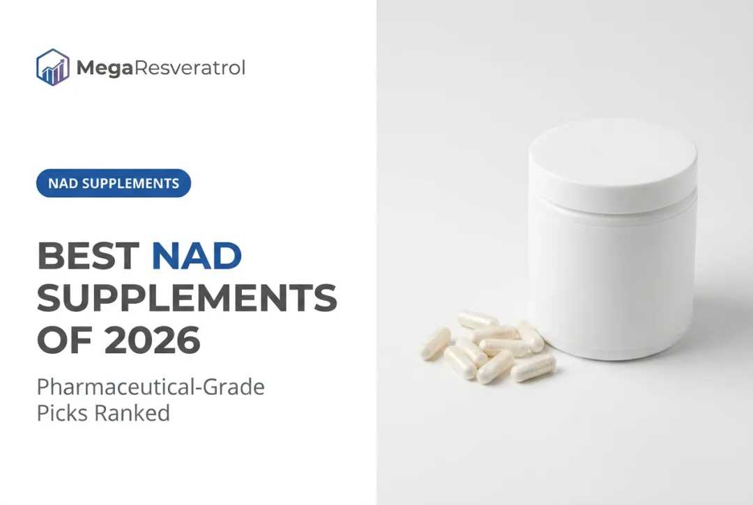 Best NAD Supplements of 2026