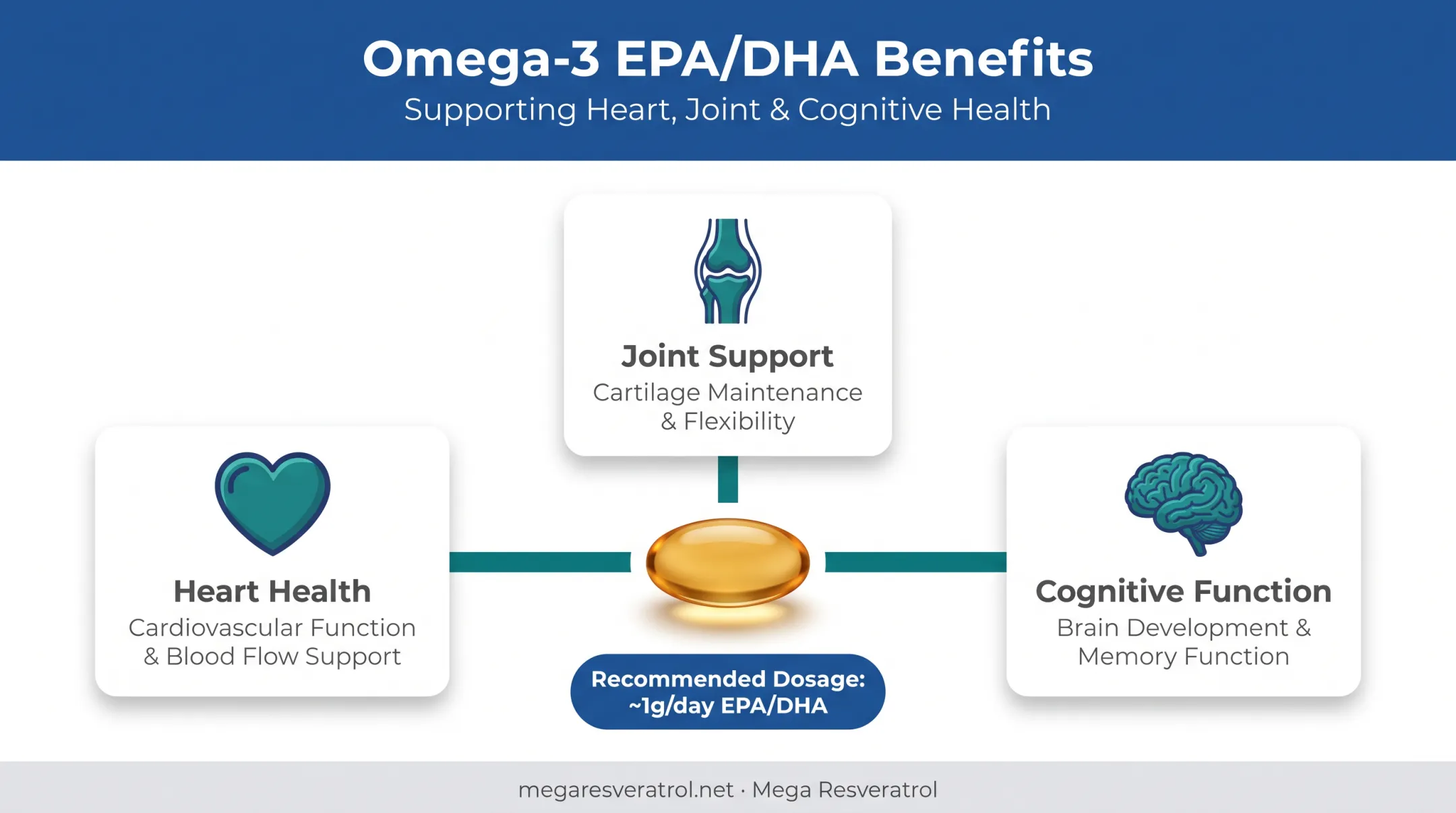 Omega-3 fatty acids heart and brain health benefits breakdown