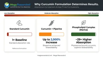 Curcumin bioavailability comparison piperine versus phospholipid complex absorption enhancement