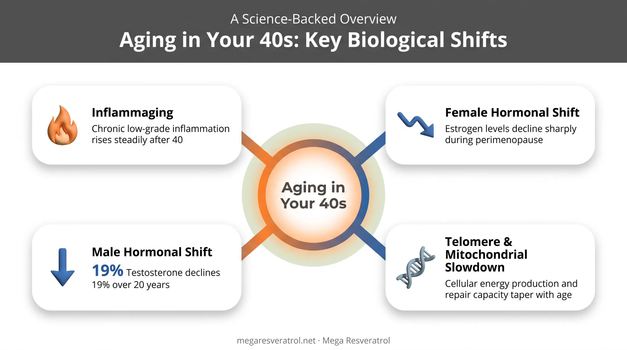 Biological aging changes in your 40s hormones and cellular decline